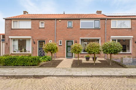 undefined main image