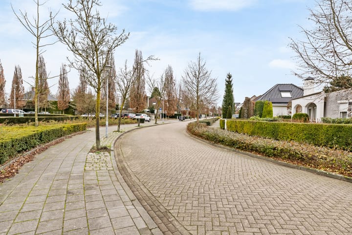 Foto 24 van de Langveter 37