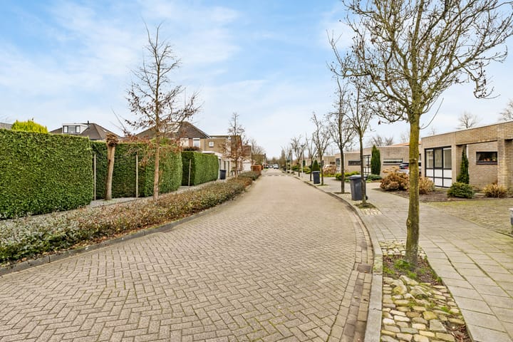 Foto 25 van de Langveter 37