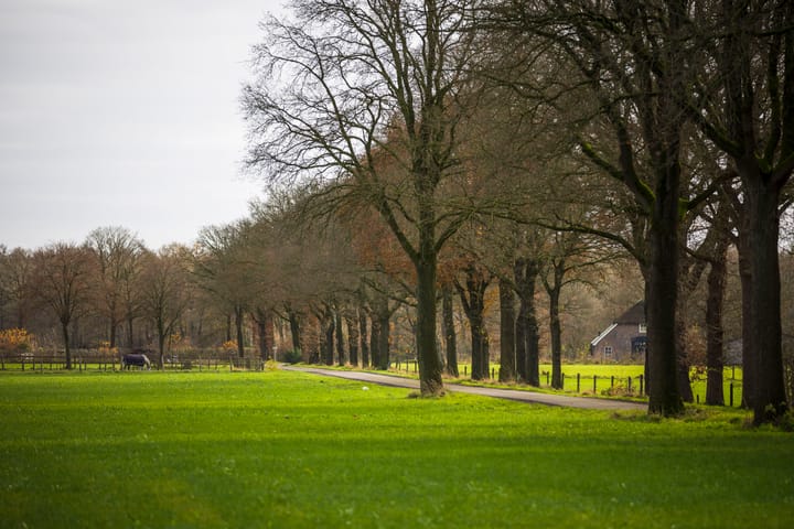 Foto 42 van Achterhoeksweg 1