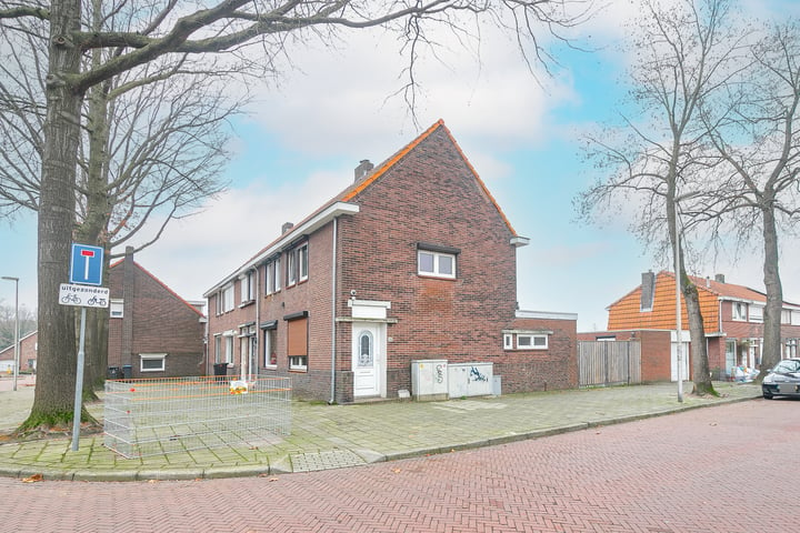 Bekijk foto 1 van Reestraat 54