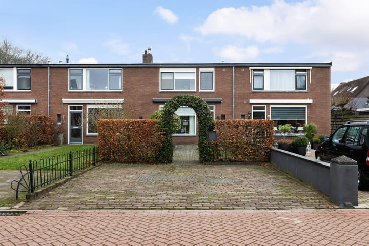 undefined main image