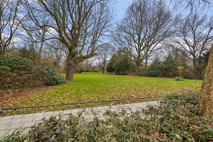 Foto 11 van Nicolaas Tulpstraat 10