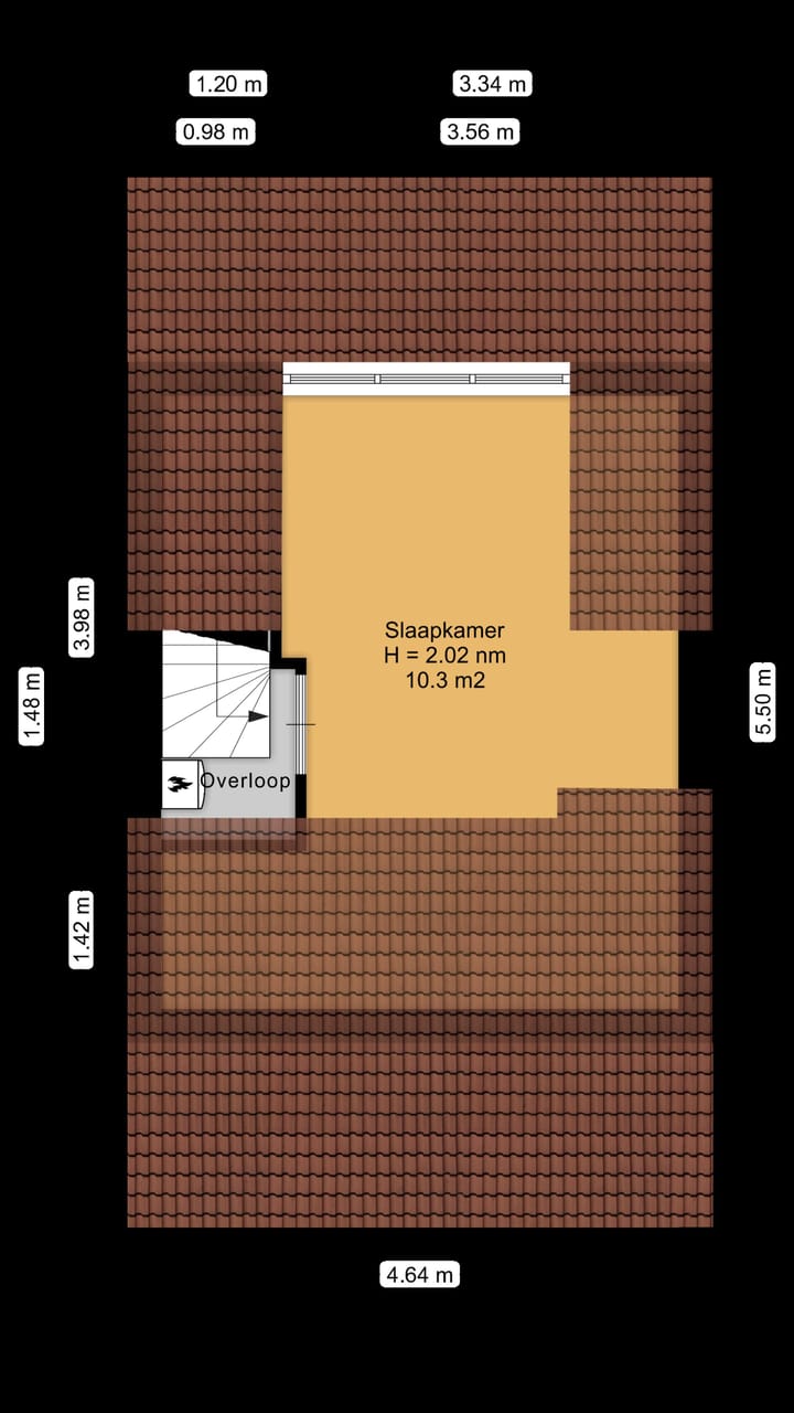Foto 46 van Nicolaas Tulpstraat 10