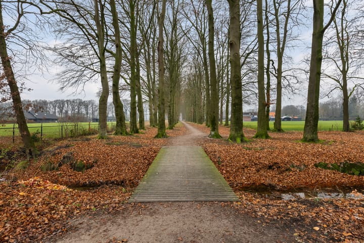 Foto 42 van Molenweg 45