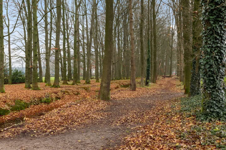 Foto 43 van Molenweg 45