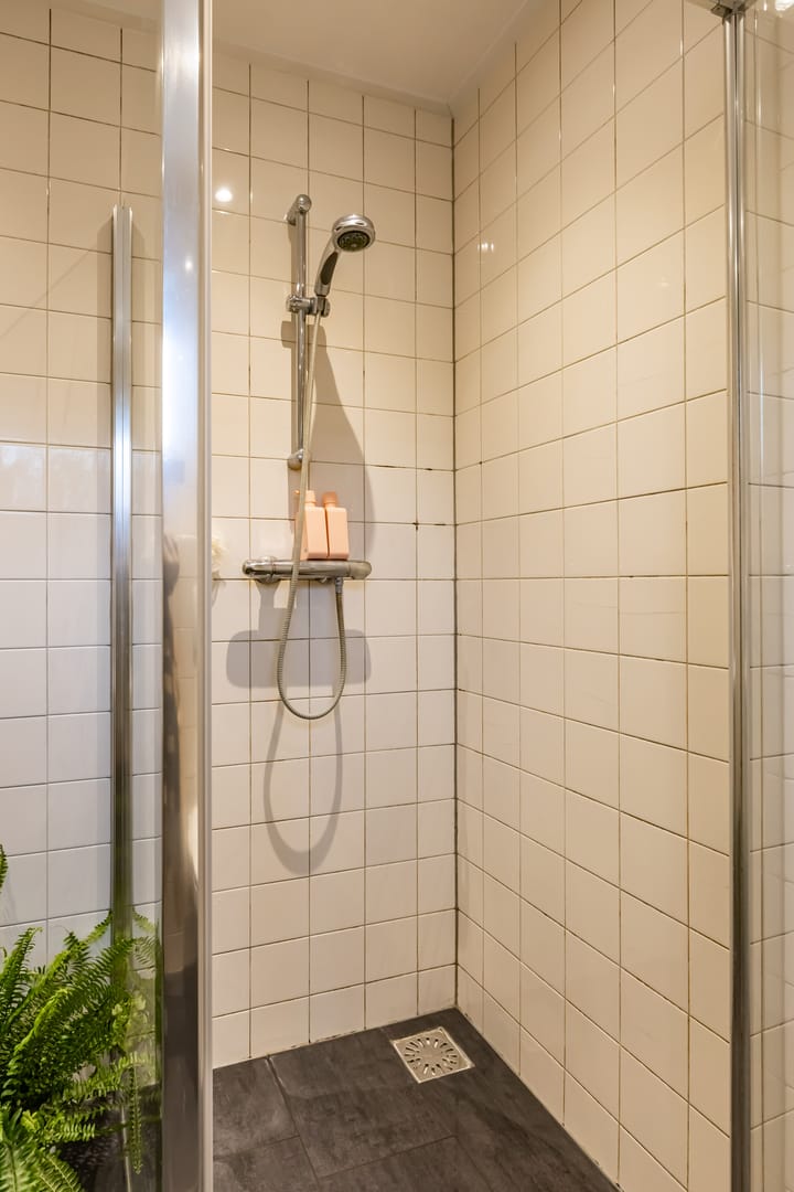 Foto 22 van Zilverschoonstraat 11