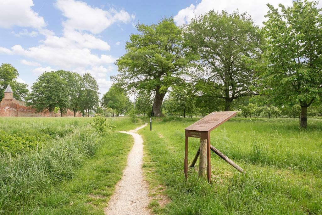 Foto 53 van Sterreschans 11-A