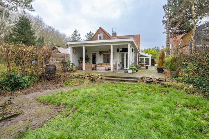 Photo 35 of Haveneind 21