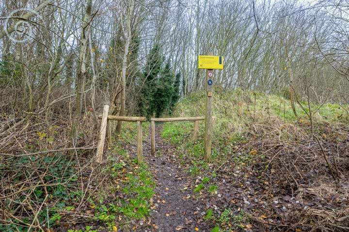 Photo 53 of Haveneind 21