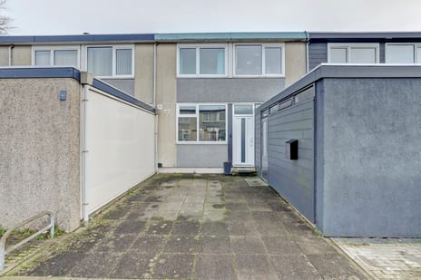 undefined main image