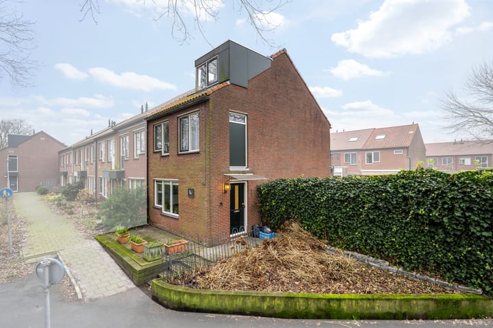 Foto 20 van Blauwe Reiger 1