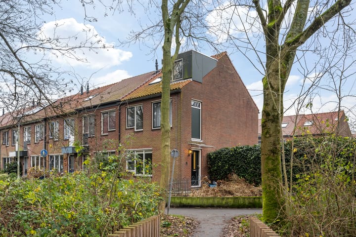 Foto 42 van Blauwe Reiger 1