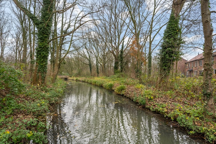 Bekijk foto 46 van Blauwe Reiger 1