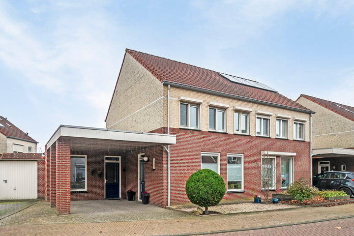 Bekijk foto 1 van Van Mirlaerstraat 1