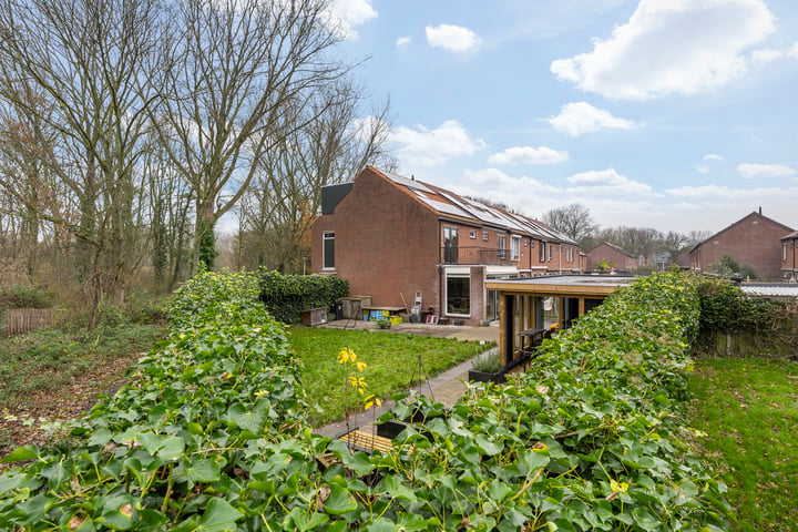 Bekijk foto 44 van Blauwe Reiger 1