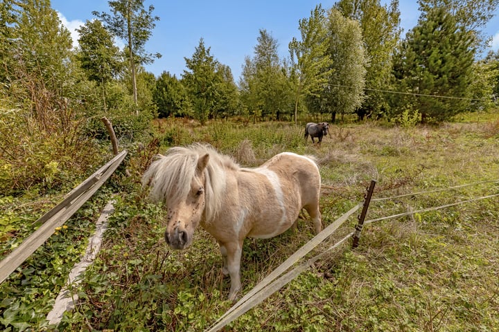 Bekijk foto 3 van Selschardijk 11-A