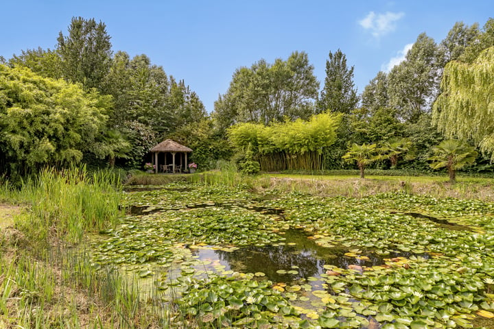 Bekijk foto 18 van Selschardijk 11-A