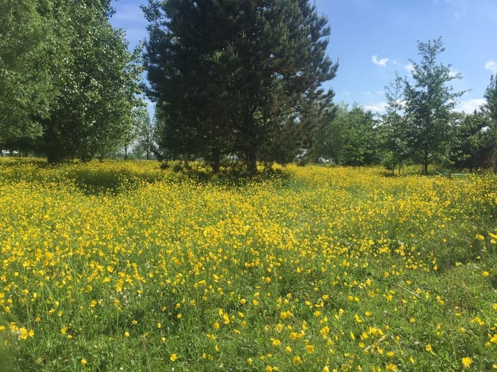 Photo 20 of Selschardijk 11-A