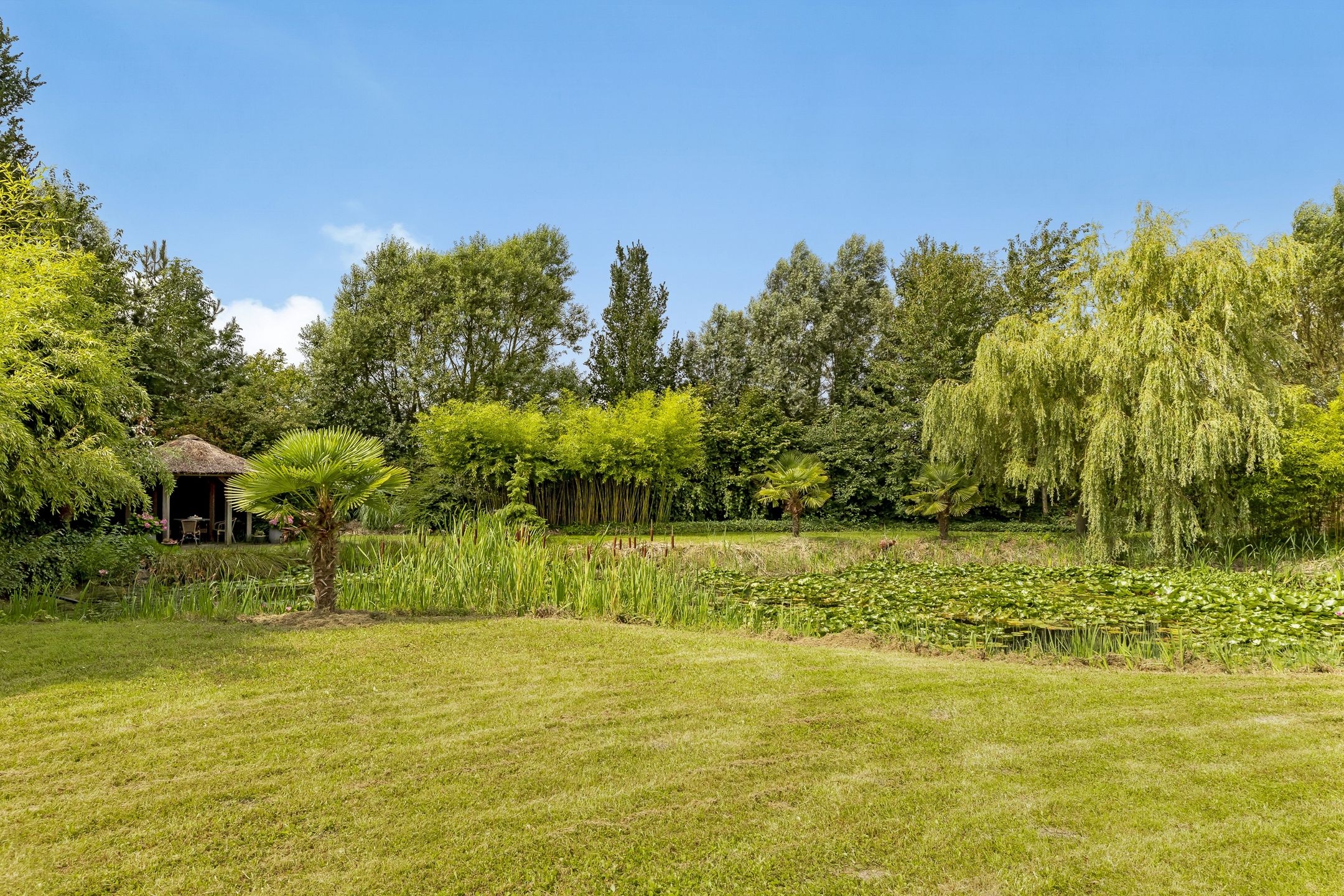 Foto 21 van Selschardijk 11-A