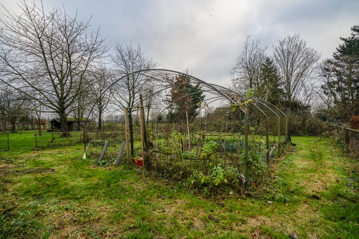 Photo 39 of Spekklef 16