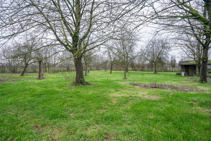 Photo 5 of Spekklef 16