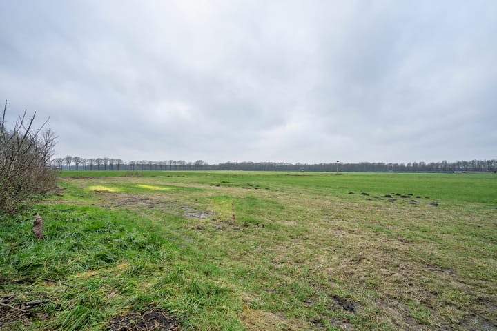 Photo 41 of Spekklef 16