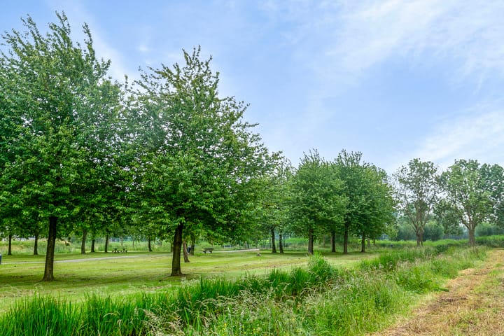 Foto 29 van Cubalaan 68