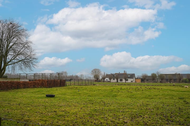 Photo 5 of Molenstraat