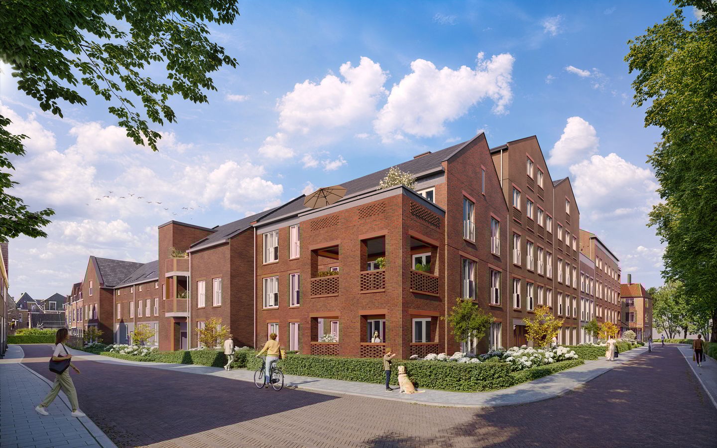 Foto 5 van De Zuidsingel