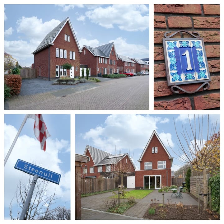 Foto 2 van Steenuil 1