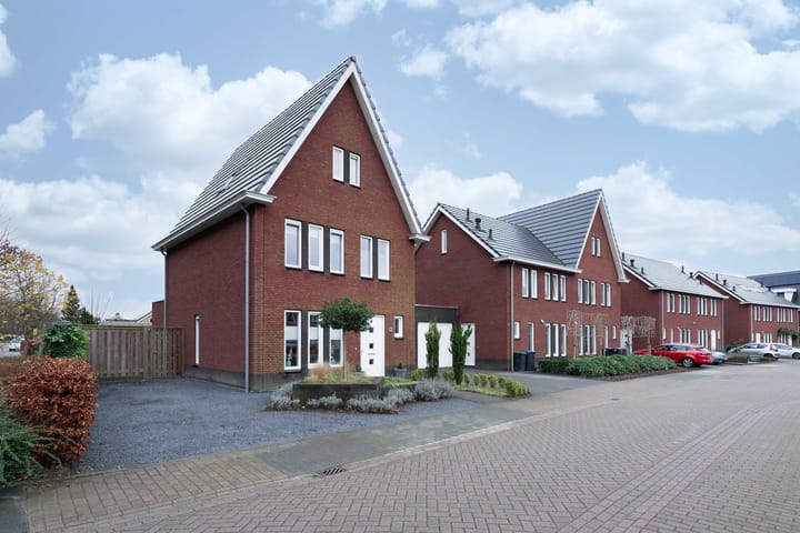 Foto 4 van Steenuil 1