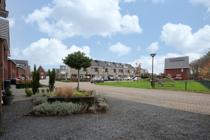 Foto 5 van Steenuil 1