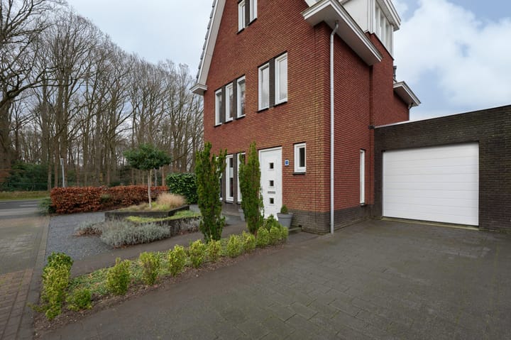 Foto 6 van Steenuil 1