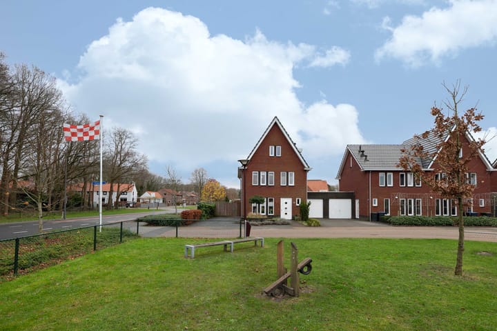 Foto 3 van Steenuil 1