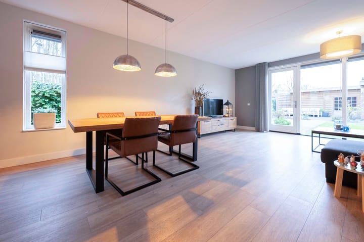 Foto 15 van Steenuil 1