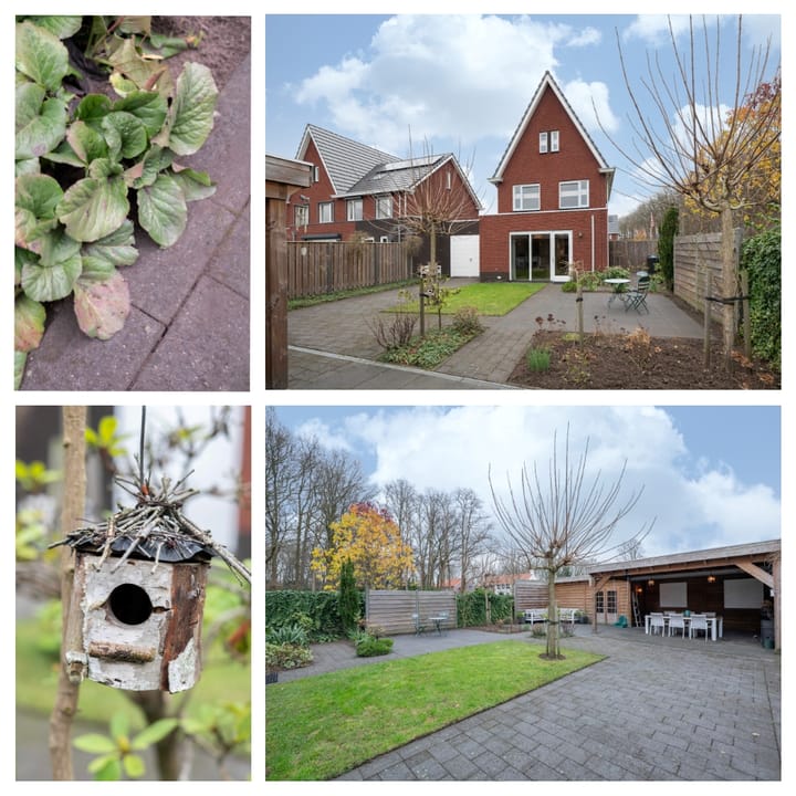 Foto 23 van Steenuil 1