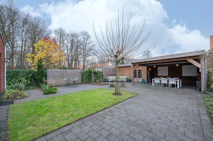 Foto 26 van Steenuil 1