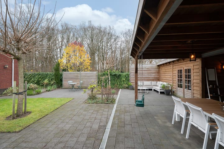 Foto 29 van Steenuil 1