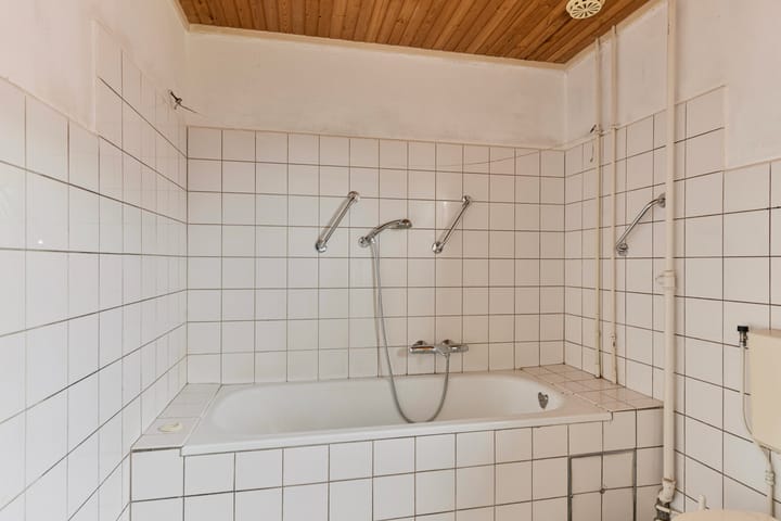 Foto 39 van Ringoven 6