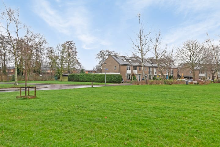 Foto 7 van Pinksterbloem 68