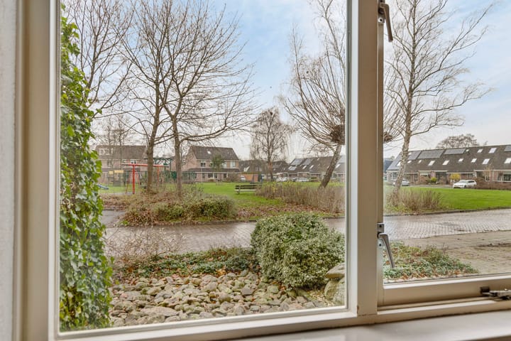 Foto 38 van Pinksterbloem 68