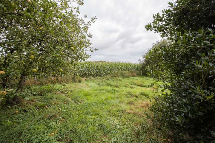 Bekijk foto 63 van Noord Emperweg 17