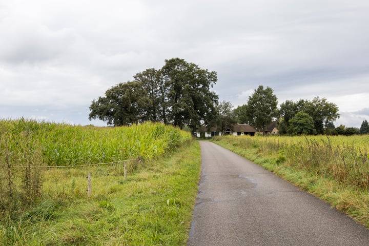 Bekijk foto 98 van Noord Emperweg 17