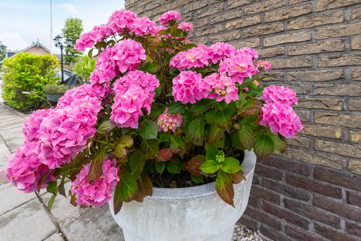 Foto 28 van Schinkeldijk 17