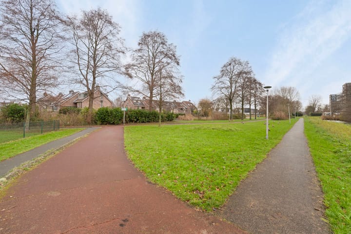 Foto 5 van Dotterlei 699