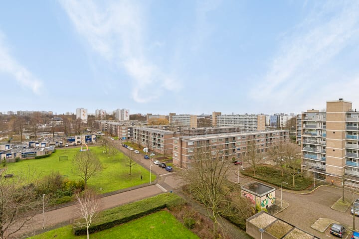 Foto 4 van Dotterlei 699