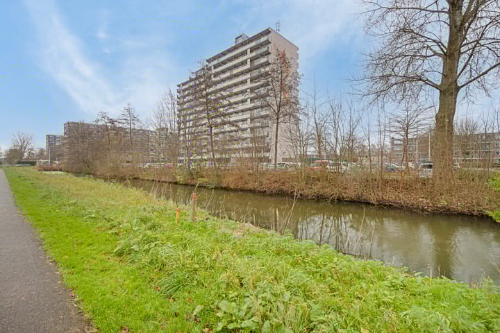 Foto 7 van Dotterlei 699