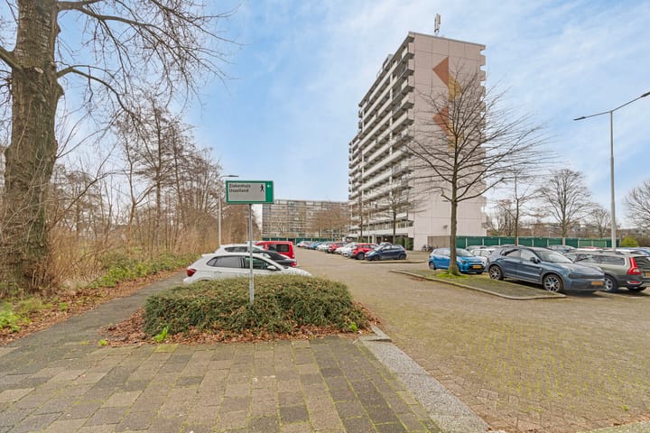 Foto 6 van Dotterlei 699