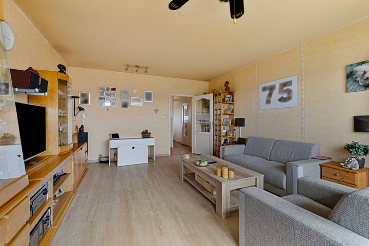 Foto 13 van Dotterlei 699